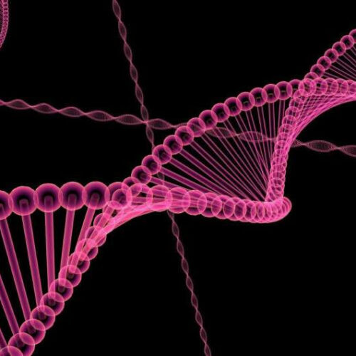 Secondary structures in DNA are associated with cancer