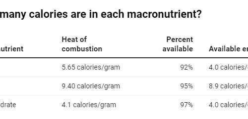 Not all calories are equal: A dietitian explains the different ways the kinds of foods you eat matter to your body
