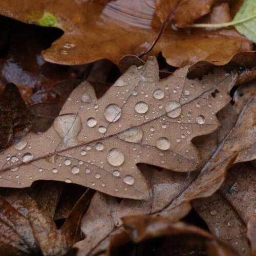 Can severe weather changes make allergies worse?