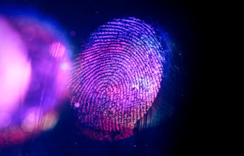 Could fingerprints lead to new treatments for certain disorders and diseases?