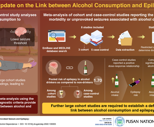 The link between alcohol consumption and epilepsy: An update from scientists from Pusan National University