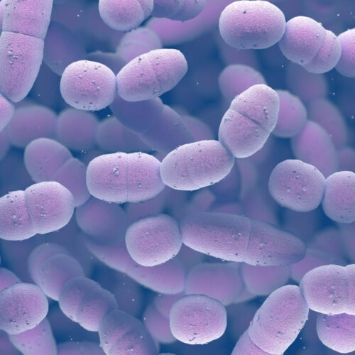 Stalled Alzheimer’s drug may find new purpose against superbugs