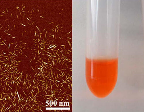 Hairy Nanocrystals Capture Chemo Drugs