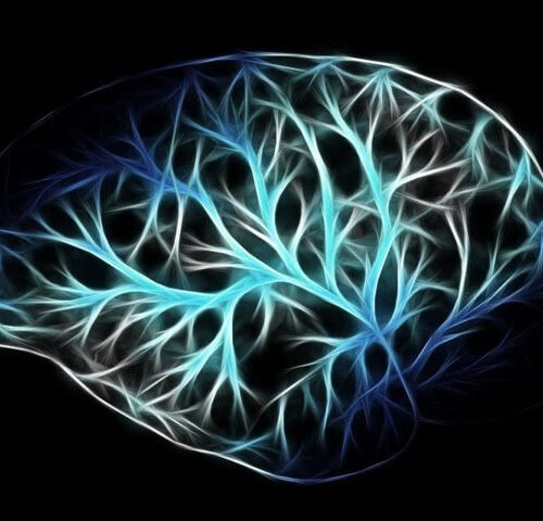 Astrocytes and Microglia Both Help and Harm the Blood-Brain Barrier in Aging