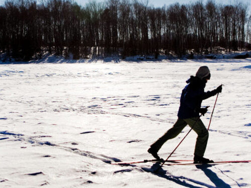 How Exercise May Tame Our Anxiety