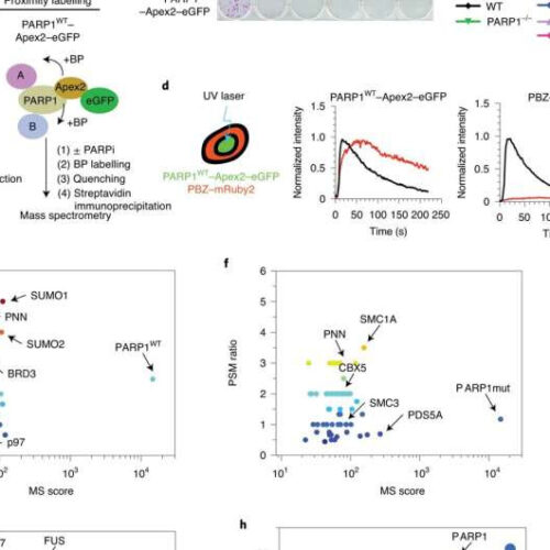 New research suggests memories may be stored in the connections between your brain cells