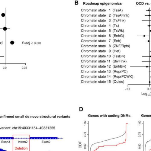 Association found between de novo genetic mutations and obsessive-compulsive disorder