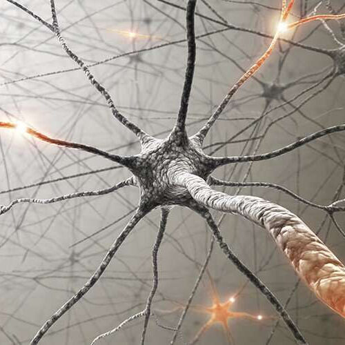 Tangled messages: Tracing neural circuits to chemotherapy’s ‘constellation of side effects’