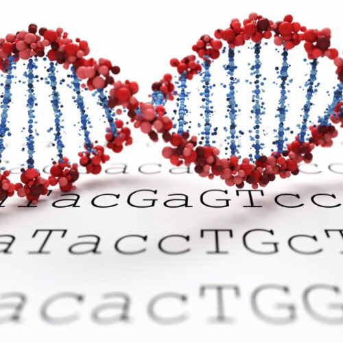 World’s fastest genome sequencer diagnoses genetic disease in hours