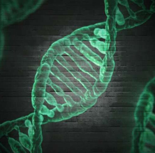 New research links genes to a longer human lifespan