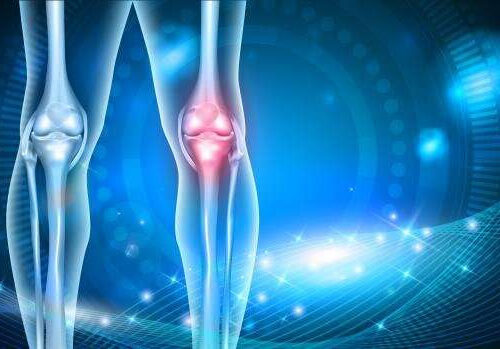 Macromolecular gel with therapeutic payload could be silver bullet for osteoarthritis