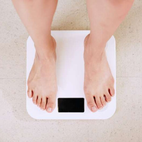 Obesity harms brain health throughout life, yet scientists don’t know why