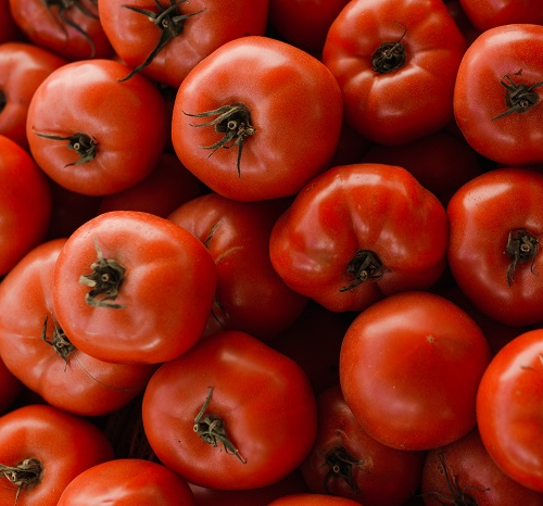 Tomato concentrate could help reduce chronic intestinal inflammation associated with HIV