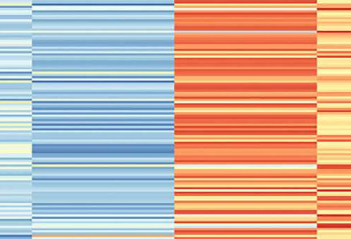 Can a human microglial atlas guide brain disorder research?