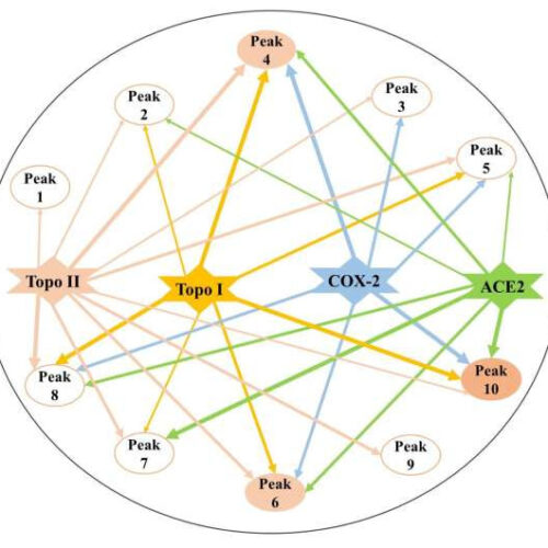 Multifunctional bioactive components screened out from herbal medicine using multi-target ultrafiltration