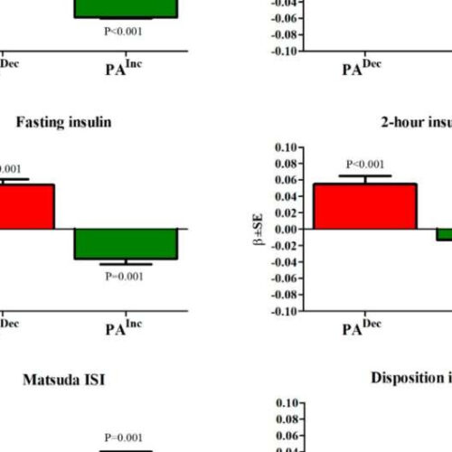 Physical activity protects against type 2 diabetes by modifying metabolism