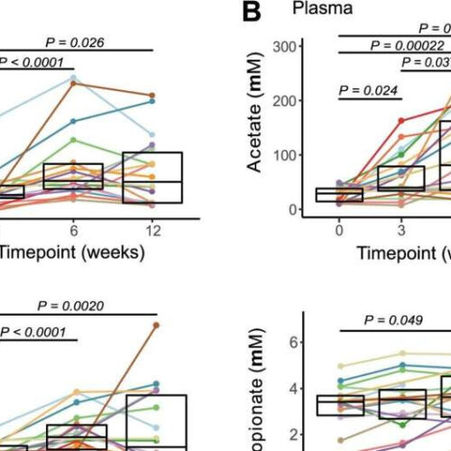 Potent food supplement may help halt the immune attack in people with diabetes