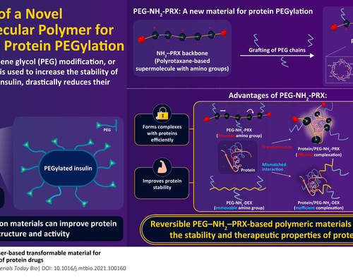 Stabilizing protein drugs with a new reversible “mixing-type” material