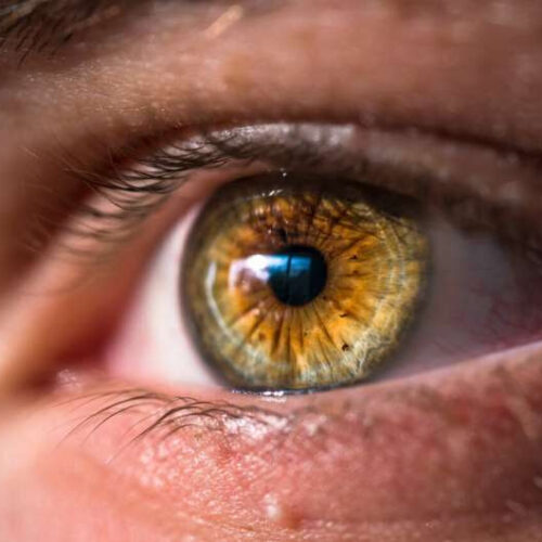 Difference between retina’s biological age and person’s real age linked to heightened death risk