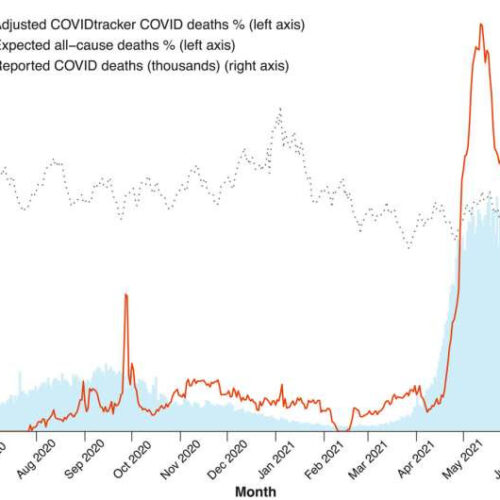 Data suggests pandemic fatalities much higher than estimated