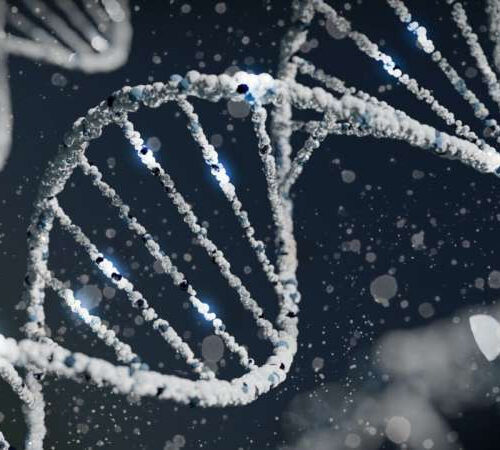 Study: Personal genetic risk motivates positive changes in health behavior