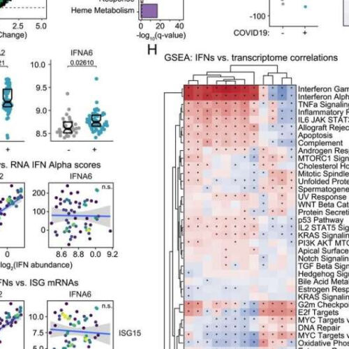 More effective COVID-19 treatment with immune modulatory drugs