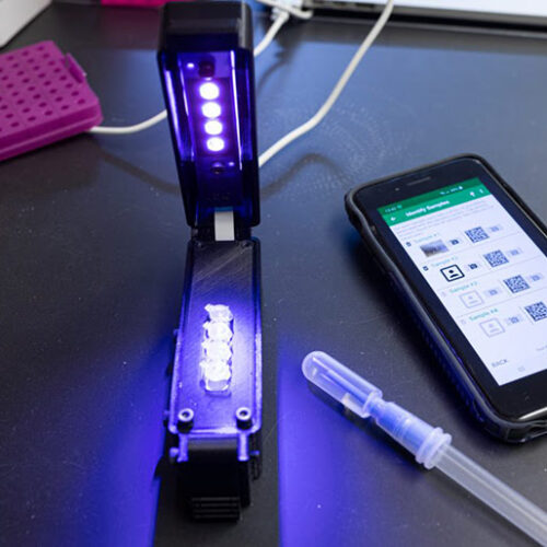 Quick and Accurate COVID Test Uses LAMP Assay