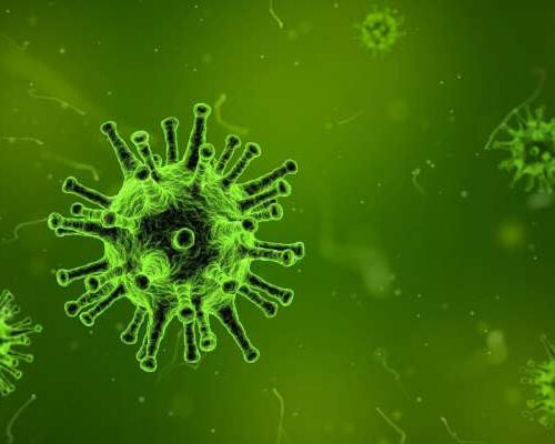 New way viruses trigger autoimmunity discovered