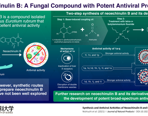 Novel synthetic process for the core structure of the fungal antiviral agent Neoechinulin B and its derivatives