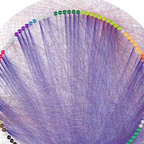 Researchers resolved human transcription factor (TF) regulation