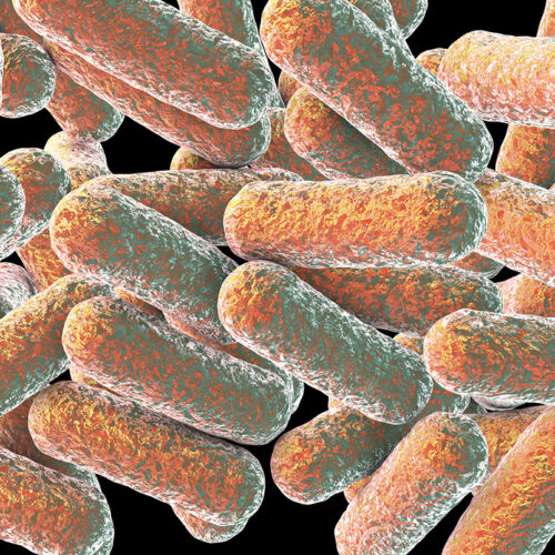 Gut microbe linked to depression in large health study