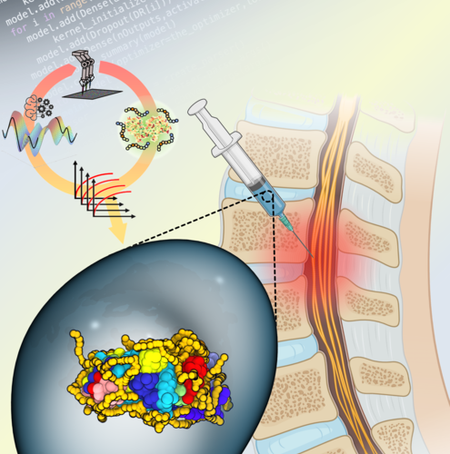 Rutgers researchers harness AI and Robotics to treat spinal cord injuries