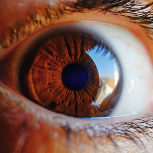 Study shows human induced pluripotent stem cells improve visual acuity, vascular health