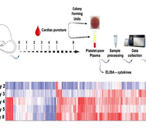 New test predicts sepsis soon after infection