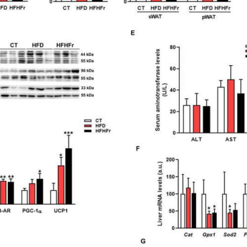 A new study relates liquid fructose intake to fatty liver disease