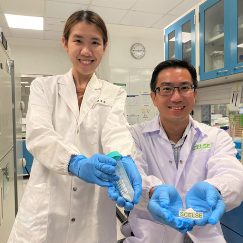 NTU Singapore scientists develop coated probiotics that could be effectively delivered into the human gut