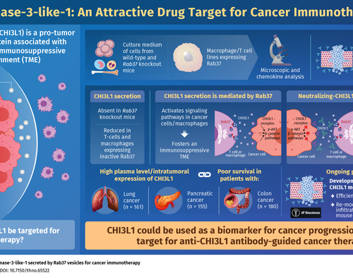 Scientists create antibodies to target a secretory protein for anti-cancer therapy