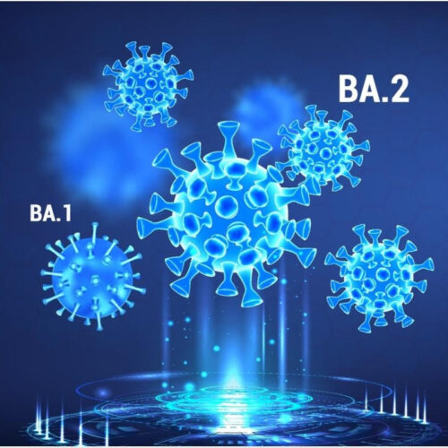 Will Omicron BA.2 become the next dominant variant?
