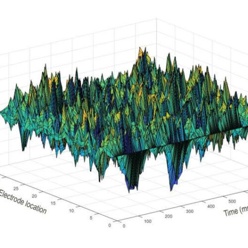 Neurons are fickle. Electric fields are more reliable for information