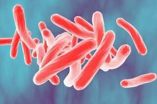 Study: Cancer drugs might be able to target tuberculosis