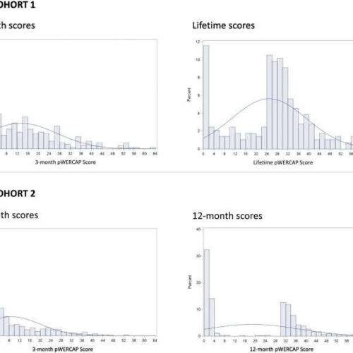 Identifying young people at high risk of schizophrenia with a 16-question screening tool