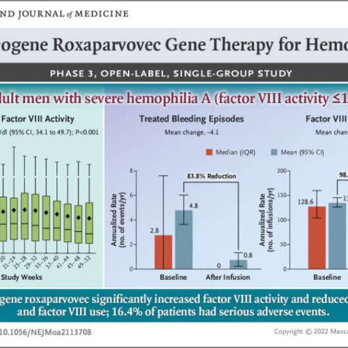 Gene therapy for hemophilia A shows promise in phase 3 clinical trial