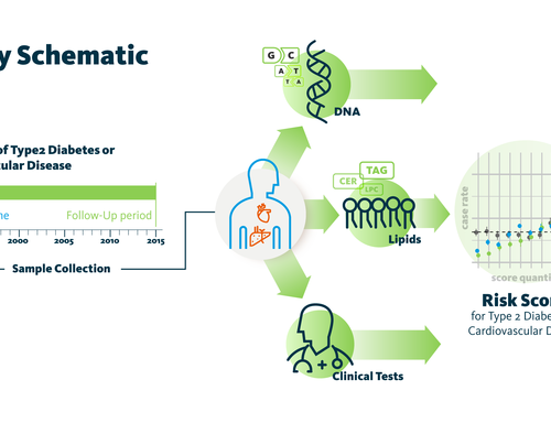 Lipid profiling can predict risk of diabetes, cardiovascular disease decades before onset