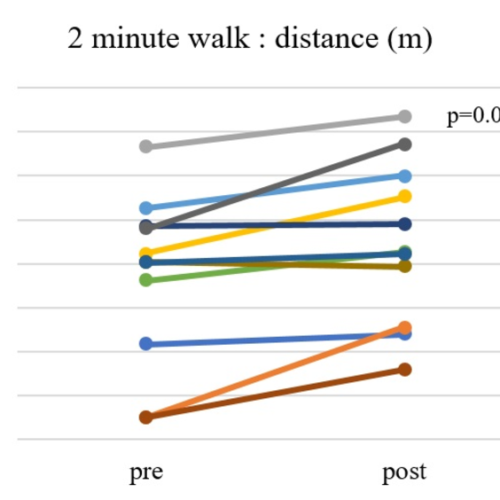 Hybrid Assistive Limb (HAL) improves gait ability in patients with ALS