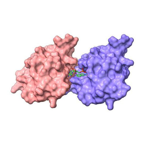 Molecular key may unlock new treatments for neurodegenerative disorders