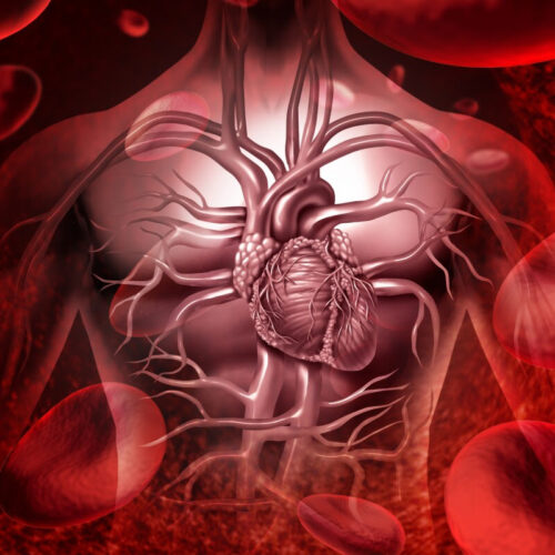 Body alarm for blood loss can be reset to stop cardiovascular collapse