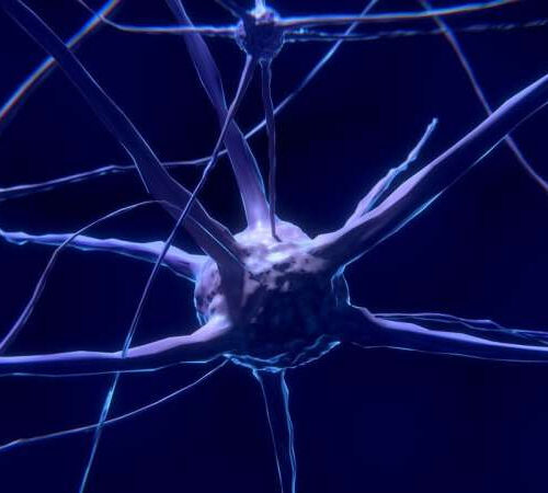 Researchers identify a potential window for treating ALS