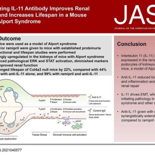 Turning off the damaging signals from a genetic syndrome that causes debilitating kidney disease