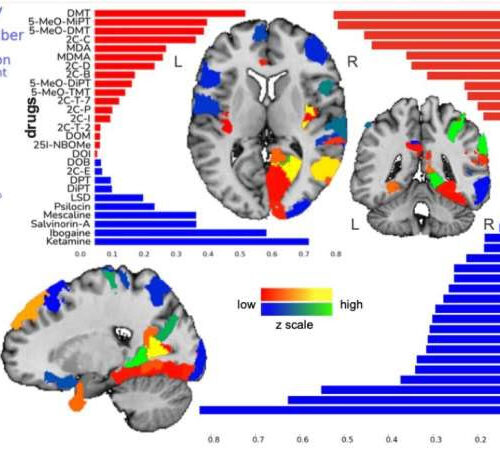 Largest ever psychedelics study maps changes of conscious awareness to neurotransmitter systems