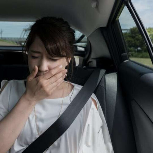 Explaining motion sickness: Why some people feel sick in cars or on trains